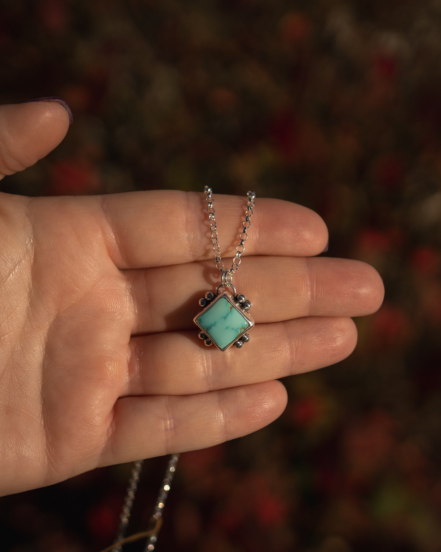 Natural Thunderbird Turquoise Embellished Necklace